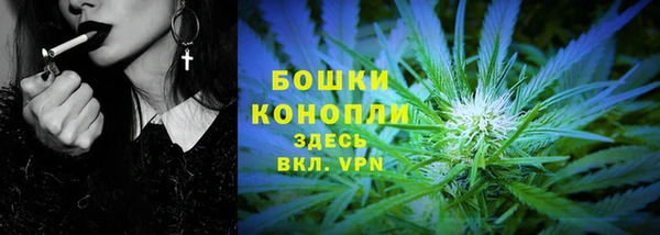 ECSTASY Кукмор