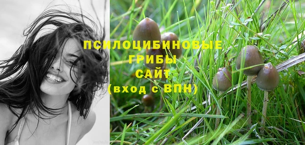 ECSTASY Кукмор