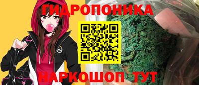 шишки Волгодонск