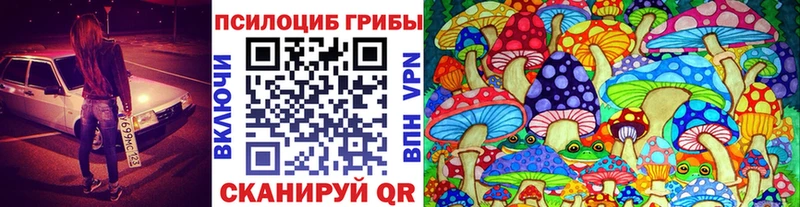 сколько стоит  это Telegram  Галлюциногенные грибы мухоморы  Железногорск 
