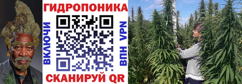 Шишки марихуана SATIVA & INDICA Железногорск